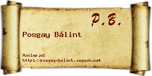 Posgay Bálint névjegykártya
